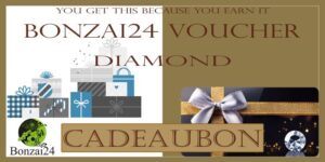 Massage in Amersfoort cadeaubon van Bonzai24 Diamond Voucher cadeaubon – exclusieve luxe online reservering cadeaubon met diamant en gouden cadeauverpakking