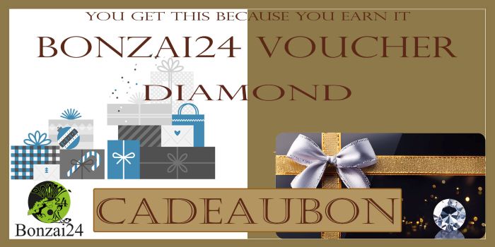 Cadeaubon van Bonzai24 massage in Amersfoort Diamond voucher met cadeau-illustraties, strik en diamantafbeelding op luxe achtergrond.