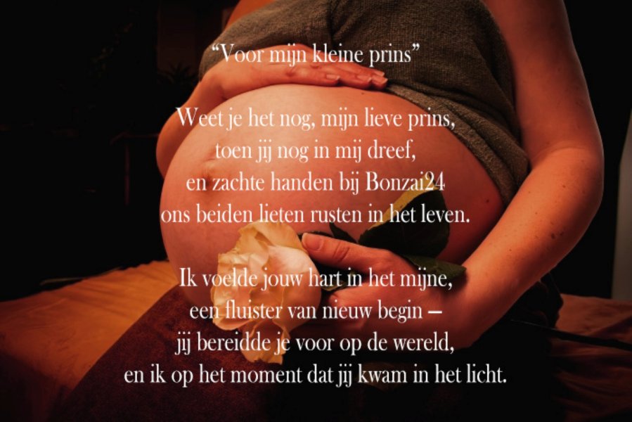 Zwangere vrouw houdt haar buik vast terwijl een witte roos op de buik rust, met een liefdevolle Nederlandstalige tekst over zwangerschap en moederliefde in beeld bij Bonzai24 in Amersfoort.