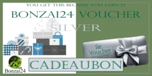 Massage in Amersfoort cadeaubon van Bonzai24 Silver Voucher cadeaubon – stijlvolle zilveren online reservering cadeaubon met luxe strik en cadeauverpakking design